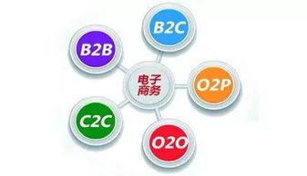 电子商务广告宣传专业
