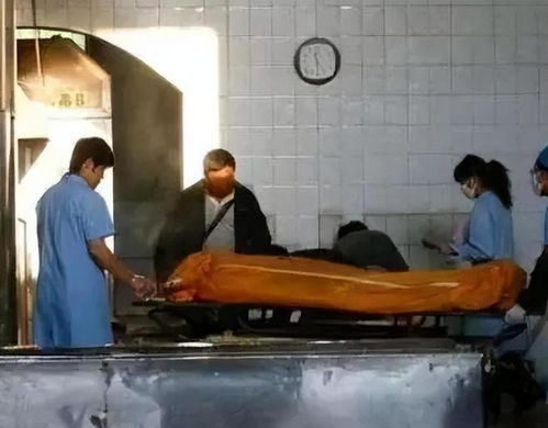 火化时遗体会突然坐起？从业者揭秘