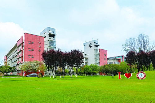 横店电子商务专业大学