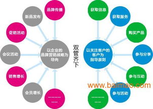 专业推广电子商务方案