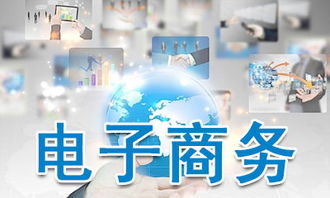 电子商务师所需专业