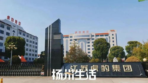 南邮通达电子商务专业