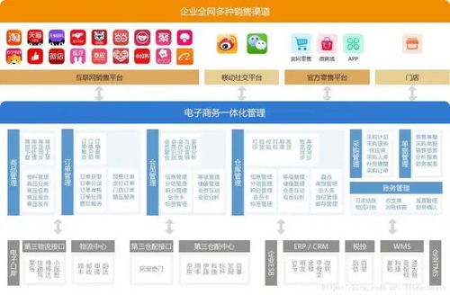 电子商务专业名词FBA