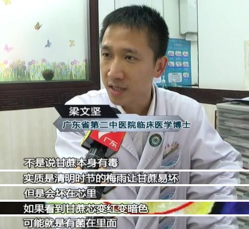 清明前后的甘蔗毒过蛇？专家辟谣