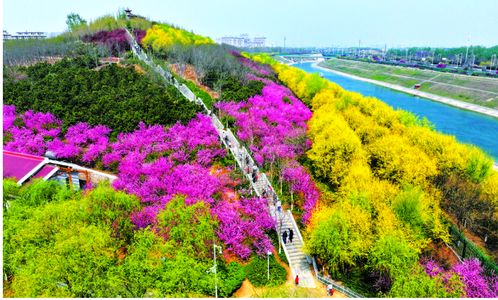 踏春赏花享胜景 文旅融合热力足