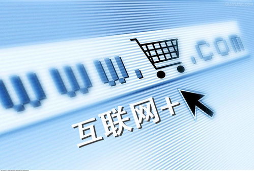 国家专业目录电子商务