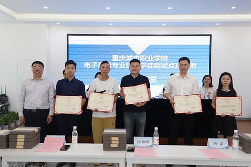 重庆的大学电子商务专业