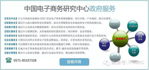 电子商务专业企业的含义