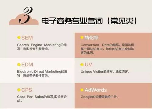 认识我的专业电子商务