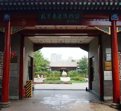 鲁迅在北京的故居与手植白丁香，百年风华的见证