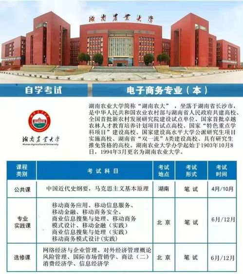 自考电子商务专业大专