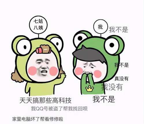 电子商务专业和亲戚眼中
