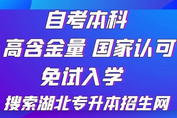 文科学电子商务专业前景