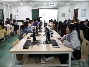 电子商务专业入职岗位