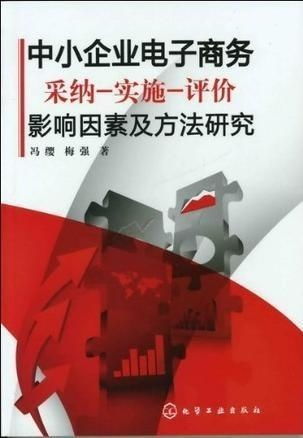 电子商务专业的企业因素