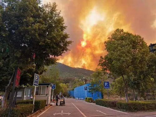 四川凉山一地有森林火灾？不实