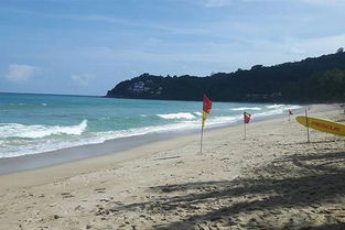 泰国海滩惊现中国游客遗体，引发关注与反思