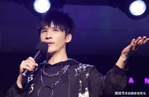 甲亢哥与大张伟的阳光彩虹小白马合作，音乐与激情的完美融合