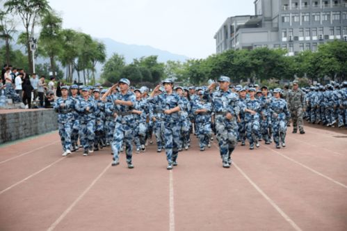 电子商务专业的军训口号