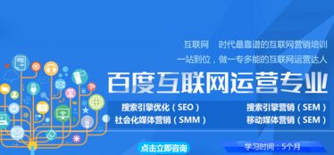 中国电子商务系统专业