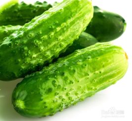 中国科学家成功提升黄瓜减脂功效五倍，健康饮食的新篇章
