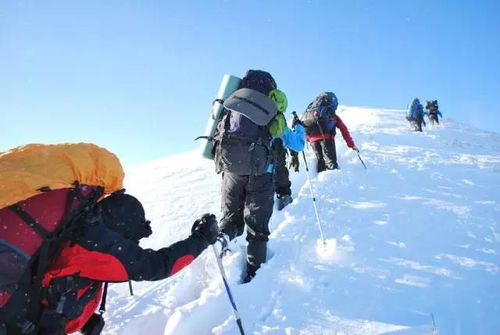驴友从雪山下撤后突发晕厥离世，背后原因引人深思