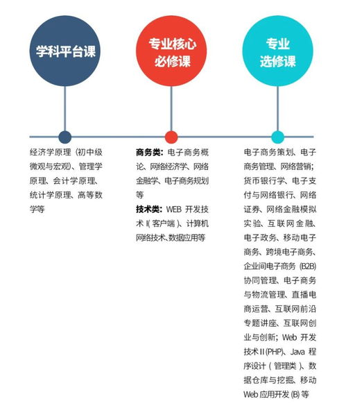 电子商务开发和运营专业