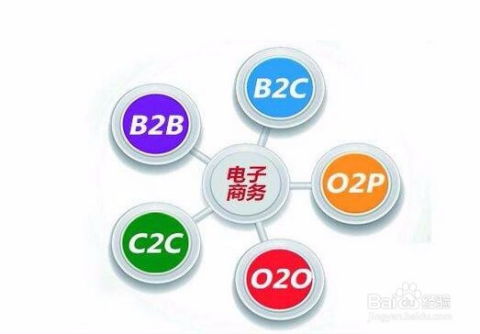 aps审核电子商务专业