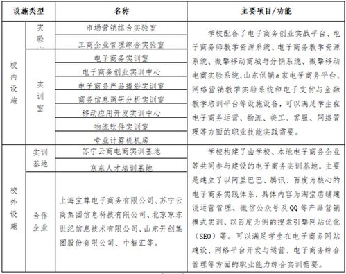 电子商务专业技术职务