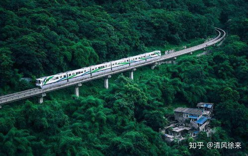 重庆酉阳高铁通车不实