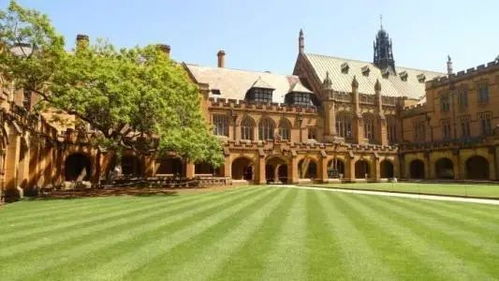 澳洲大学的电子商务专业
