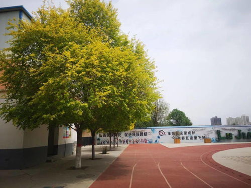 高校教师隔空猥亵小学生被判5年，警钟长鸣，守护未成年人健康成长