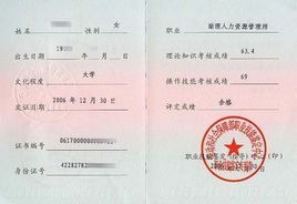 电子商务专业考几个证
