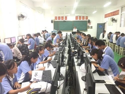 电子商务专业到中学任教