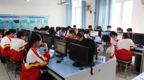 职中电子商务专业有哪些