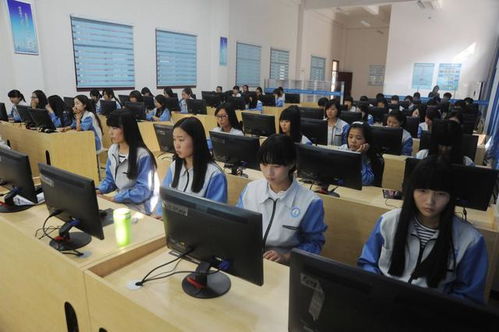 电子商务专业毕业五年