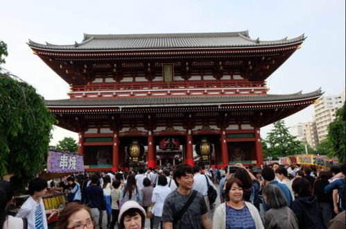 投资千万买日本寺庙的中国人后悔了
