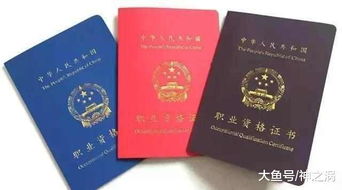 电子商务专业考的证