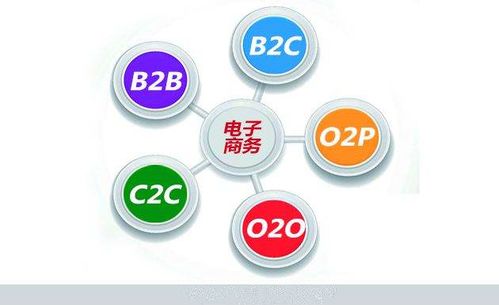 电子商务专业性格介绍