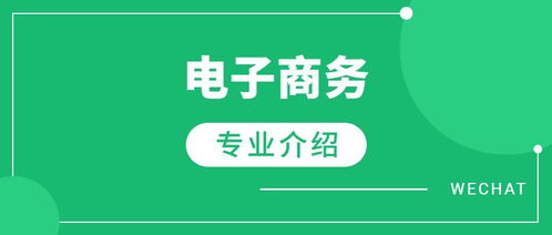 从事电子商务选什么专业