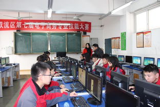 崇明区专业电子商务业务