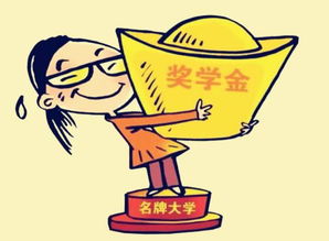 电子商务专业幽默吐槽