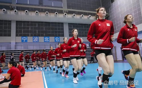 新一届中国女排名单出炉