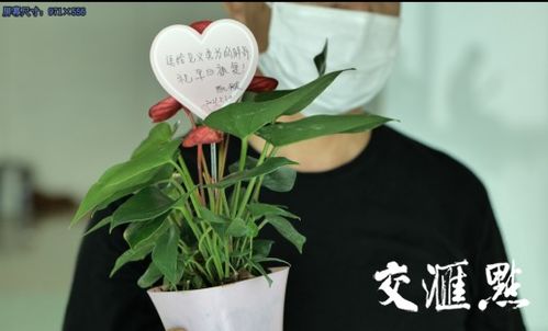甲亢哥直播文与友老板抢镜引争议，一场直播间的角力之战