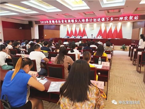 电子商务专业领头人