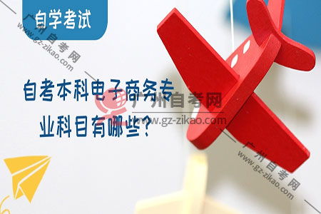 电子商务专业有自考吗