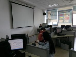 电子商务专业教学诊改