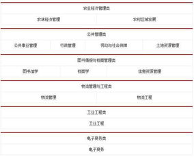 电子商务属于几本专业