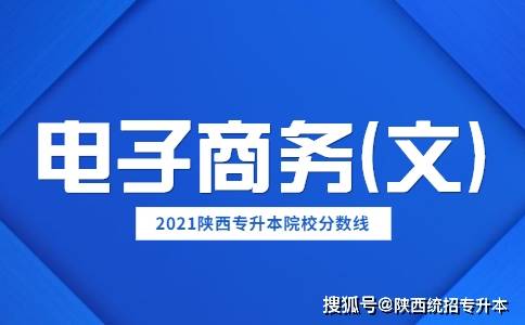 本科文科的专业电子商务
