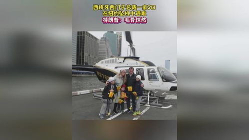 西门子高管一家在纽约坠机遇难